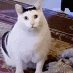 ˱